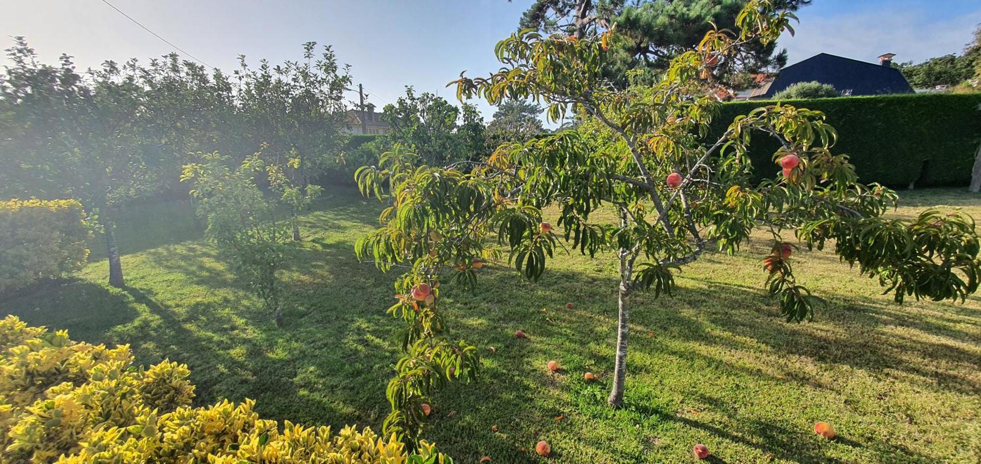 Oasis Inn Pedornes المظهر الخارجي الصورة